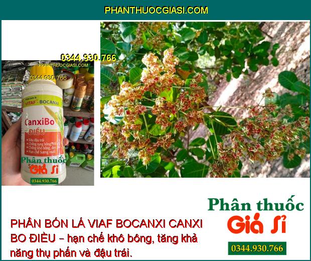 PHÂN BÓN LÁ VIAF BOCANXI CANXI BO ĐIỀU – Siêu Đậu Trái - Chống Rụng -Trái Non - Chống Khô Bông - Đen Trái