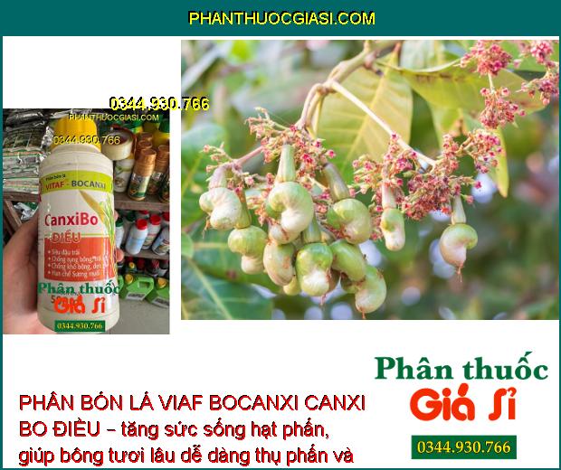 PHÂN BÓN LÁ VIAF BOCANXI CANXI BO ĐIỀU – Siêu Đậu Trái - Chống Rụng -Trái Non - Chống Khô Bông - Đen Trái