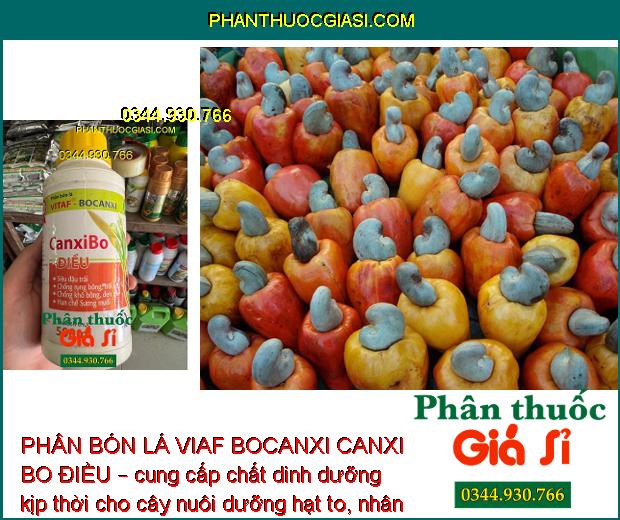 PHÂN BÓN LÁ VIAF BOCANXI CANXI BO ĐIỀU – Siêu Đậu Trái - Chống Rụng -Trái Non - Chống Khô Bông - Đen Trái