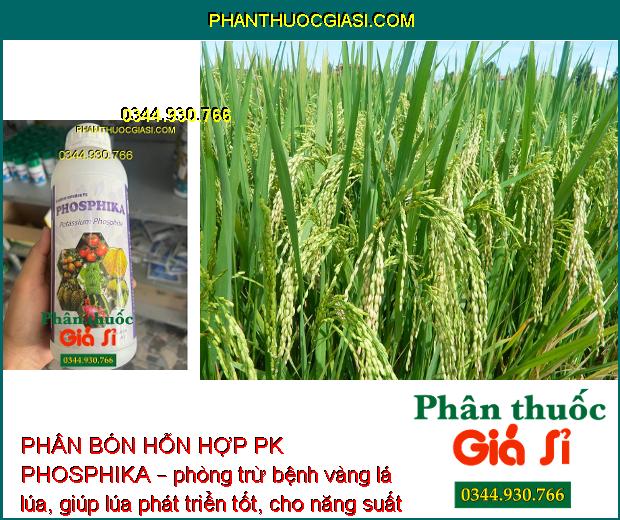 PHÂN BÓN HỖN HỢP PK PHOSPHIKA – Phòng Trừ Nứt Thân - Xì Mủ - Ngăn Ngừa Vàng Lá - Đốm Lá