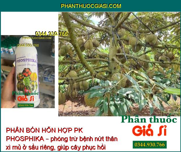 PHÂN BÓN HỖN HỢP PK PHOSPHIKA – Phòng Trừ Nứt Thân - Xì Mủ - Ngăn Ngừa Vàng Lá - Đốm Lá