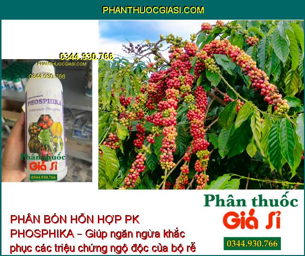 PHÂN BÓN HỖN HỢP PK PHOSPHIKA – Phòng Trừ Nứt Thân - Xì Mủ - Ngăn Ngừa Vàng Lá - Đốm Lá