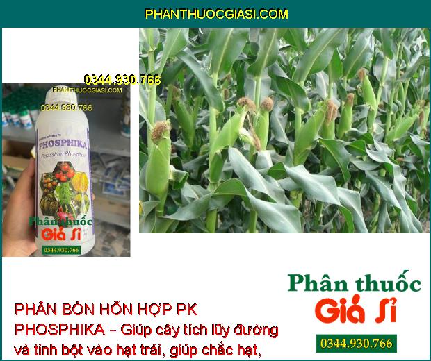 PHÂN BÓN HỖN HỢP PK PHOSPHIKA – Phòng Trừ Nứt Thân - Xì Mủ - Ngăn Ngừa Vàng Lá - Đốm Lá