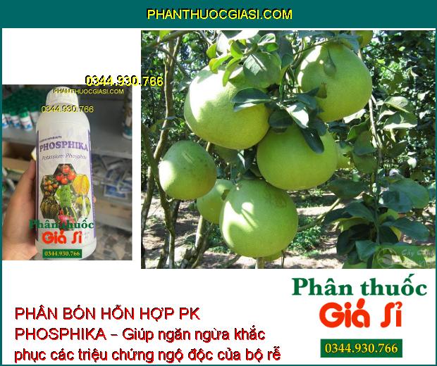 PHÂN BÓN HỖN HỢP PK PHOSPHIKA – Phòng Trừ Nứt Thân - Xì Mủ - Ngăn Ngừa Vàng Lá - Đốm Lá