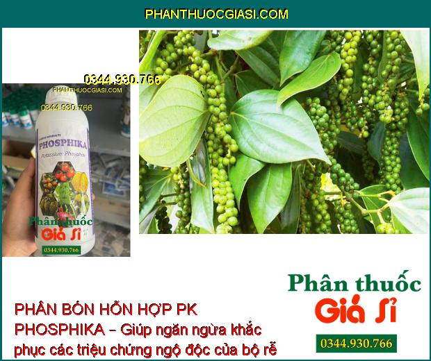 PHÂN BÓN HỖN HỢP PK PHOSPHIKA – Phòng Trừ Nứt Thân - Xì Mủ - Ngăn Ngừa Vàng Lá - Đốm Lá