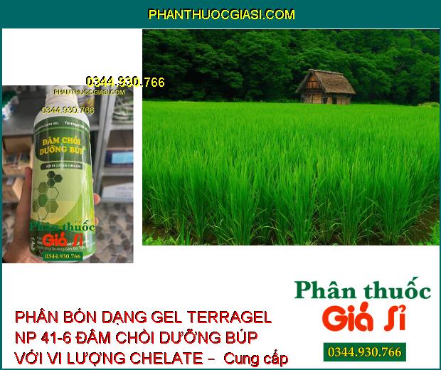 PHÂN BÓN DẠNG GEL TERRAGEL NP 41-6 ĐÂM CHỒI DƯỠNG BÚP VỚI VI LƯỢNG CHELATE –  Đâm Chồi Mạnh - Phát Triển Cây Con