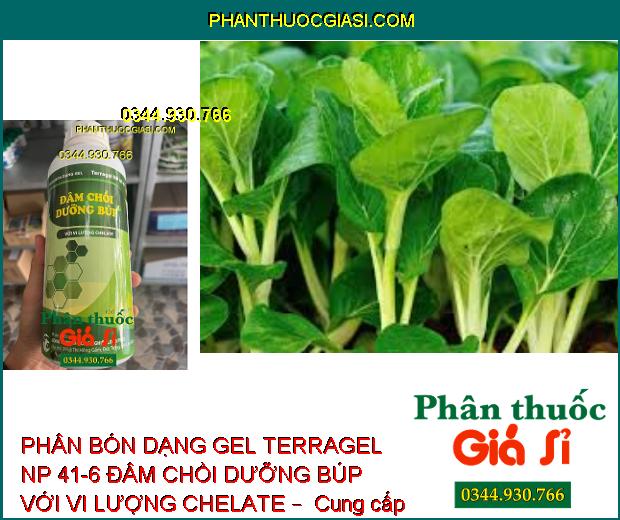 PHÂN BÓN DẠNG GEL TERRAGEL NP 41-6 ĐÂM CHỒI DƯỠNG BÚP VỚI VI LƯỢNG CHELATE –  Đâm Chồi Mạnh - Phát Triển Cây Con