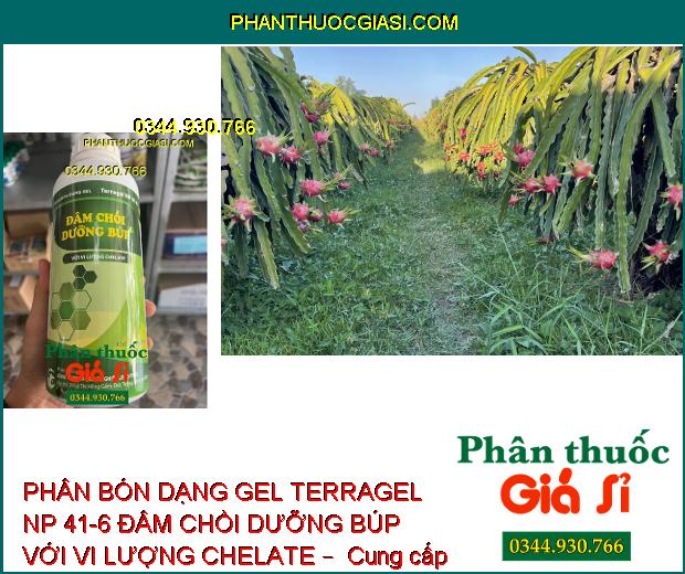 PHÂN BÓN DẠNG GEL TERRAGEL NP 41-6 ĐÂM CHỒI DƯỠNG BÚP VỚI VI LƯỢNG CHELATE –  Đâm Chồi Mạnh - Phát Triển Cây Con