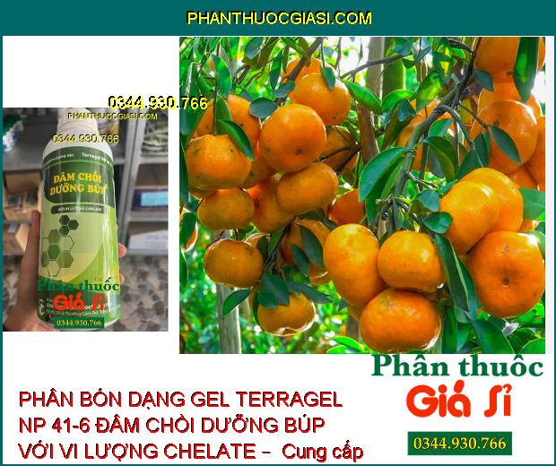 PHÂN BÓN DẠNG GEL TERRAGEL NP 41-6 ĐÂM CHỒI DƯỠNG BÚP VỚI VI LƯỢNG CHELATE –  Đâm Chồi Mạnh - Phát Triển Cây Con