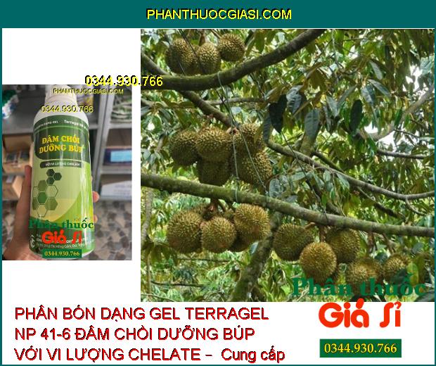 PHÂN BÓN DẠNG GEL TERRAGEL NP 41-6 ĐÂM CHỒI DƯỠNG BÚP VỚI VI LƯỢNG CHELATE –  Đâm Chồi Mạnh - Phát Triển Cây Con