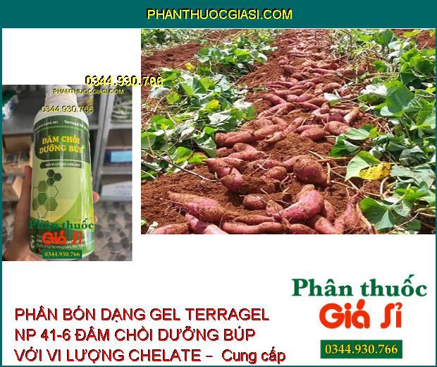 PHÂN BÓN DẠNG GEL TERRAGEL NP 41-6 ĐÂM CHỒI DƯỠNG BÚP VỚI VI LƯỢNG CHELATE –  Đâm Chồi Mạnh - Phát Triển Cây Con