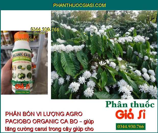 PHÂN BÓN VI LƯỢNG AGRO PACIOBO ORGANIC CA BO – Chống Rụng Hoa - Chống Nứt Trái - Thối Trái - Cứng Cành - Cứng Cây