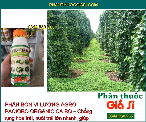 PHÂN BÓN VI LƯỢNG AGRO PACIOBO ORGANIC CA BO – Chống Rụng Hoa - Chống Nứt Trái - Thối Trái - Cứng Cành - Cứng Cây