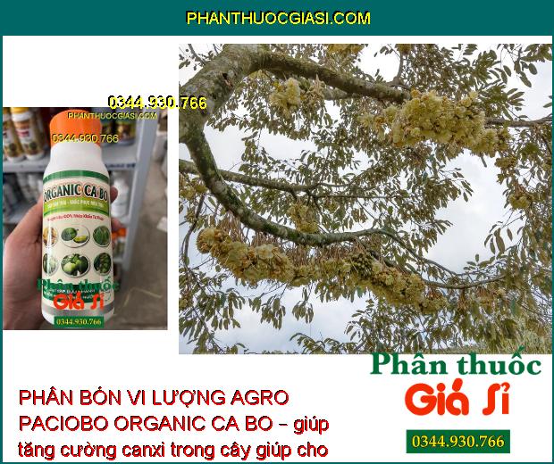 PHÂN BÓN VI LƯỢNG AGRO PACIOBO ORGANIC CA BO – Chống Rụng Hoa - Chống Nứt Trái - Thối Trái - Cứng Cành - Cứng Cây