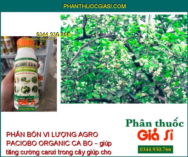 PHÂN BÓN VI LƯỢNG AGRO PACIOBO ORGANIC CA BO – Chống Rụng Hoa - Chống Nứt Trái - Thối Trái - Cứng Cành - Cứng Cây