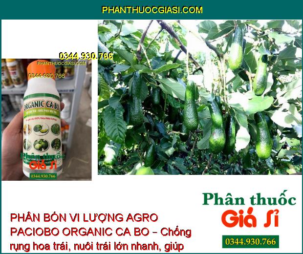 PHÂN BÓN VI LƯỢNG AGRO PACIOBO ORGANIC CA BO – Chống Rụng Hoa - Chống Nứt Trái - Thối Trái - Cứng Cành - Cứng Cây