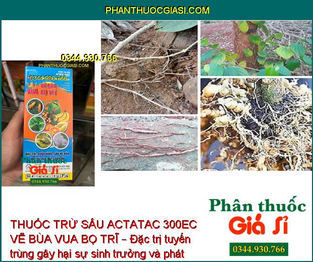 THUỐC TRỪ SÂU ACTATAC 300EC VẼ BÙA VUA BỌ TRĨ – Đặc Trị Các Loại Côn Trùng Miệng Nhai và Chích Hút Gây Hại