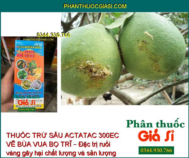 THUỐC TRỪ SÂU ACTATAC 300EC VẼ BÙA VUA BỌ TRĨ – Đặc Trị Các Loại Côn Trùng Miệng Nhai và Chích Hút Gây Hại