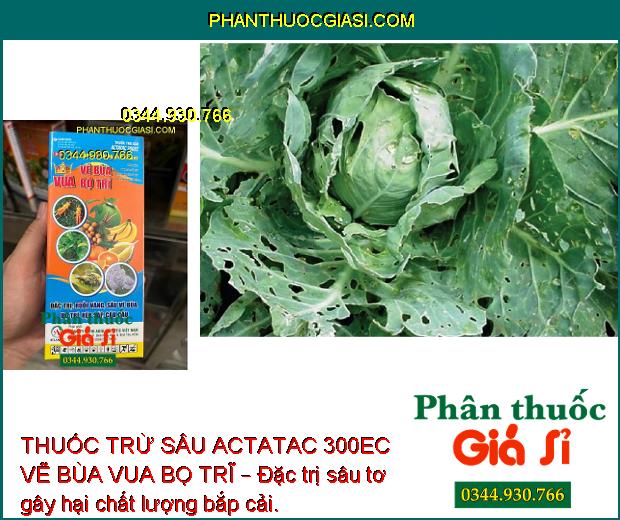 THUỐC TRỪ SÂU ACTATAC 300EC VẼ BÙA VUA BỌ TRĨ – Đặc Trị Các Loại Côn Trùng Miệng Nhai và Chích Hút Gây Hại