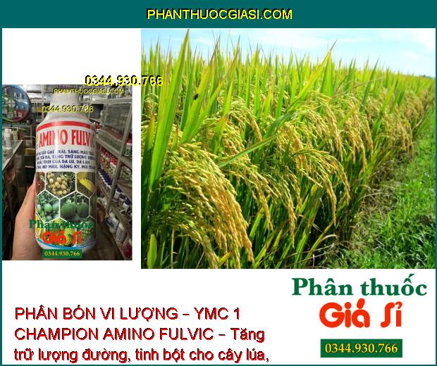 PHÂN BÓN VI LƯỢNG – YMC 1 CHAMPION AMINO FULVIC – Tẩy Ghẻ Trái – Chắc Trái Nặng Ký - Tăng Độ Ngọt 