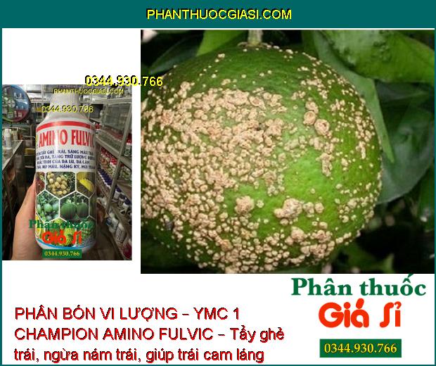 PHÂN BÓN VI LƯỢNG – YMC 1 CHAMPION AMINO FULVIC – Tẩy Ghẻ Trái – Chắc Trái Nặng Ký - Tăng Độ Ngọt 