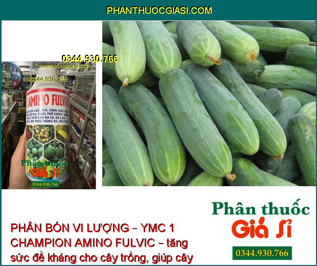 PHÂN BÓN VI LƯỢNG – YMC 1 CHAMPION AMINO FULVIC – Tẩy Ghẻ Trái – Chắc Trái Nặng Ký - Tăng Độ Ngọt 