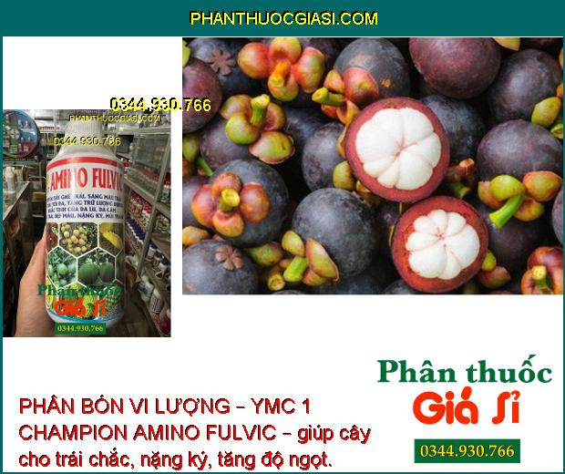 PHÂN BÓN VI LƯỢNG – YMC 1 CHAMPION AMINO FULVIC – Tẩy Ghẻ Trái – Chắc Trái Nặng Ký - Tăng Độ Ngọt 