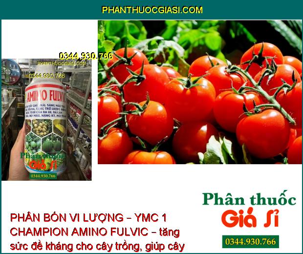 PHÂN BÓN VI LƯỢNG – YMC 1 CHAMPION AMINO FULVIC – Tẩy Ghẻ Trái – Chắc Trái Nặng Ký - Tăng Độ Ngọt 