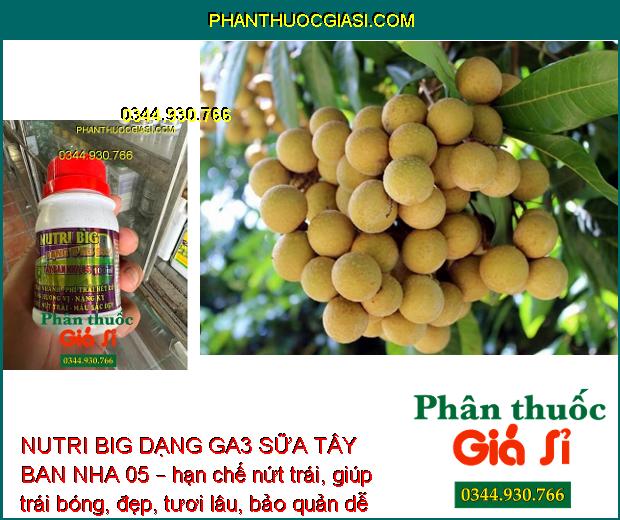 NUTRI BIG DẠNG GA3 SỮA TÂY BAN NHA 05 – Kéo Trái Nhanh - Nặng Ký - Hạn Chế Nứt Trái - Trái Bóng Đẹp