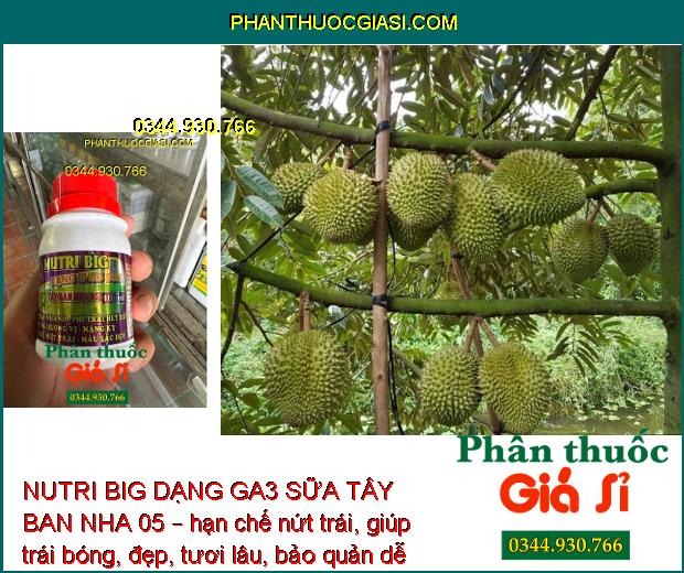 NUTRI BIG DẠNG GA3 SỮA TÂY BAN NHA 05 – Kéo Trái Nhanh - Nặng Ký - Hạn Chế Nứt Trái - Trái Bóng Đẹp