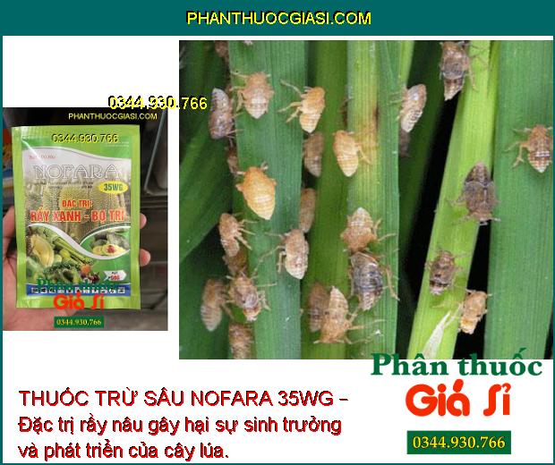 THUỐC TRỪ SÂU NOFARA 35WG – Đặc Trị Rầy Xanh - Bọ Trĩ - Rầy Nâu Hại Lúa 