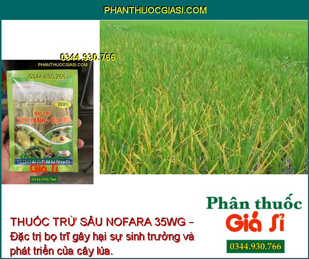 THUỐC TRỪ SÂU NOFARA 35WG – Đặc Trị Rầy Xanh - Bọ Trĩ - Rầy Nâu Hại Lúa 