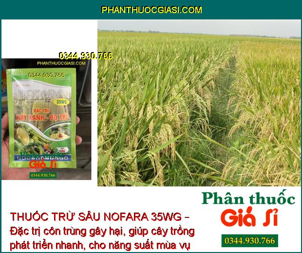 THUỐC TRỪ SÂU NOFARA 35WG – Đặc Trị Rầy Xanh - Bọ Trĩ - Rầy Nâu Hại Lúa 