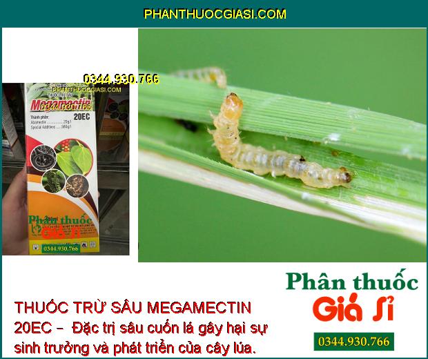 THUỐC TRỪ SÂU MEGAMECTIN 20EC –  Đặc Trị Sâu Cuốn Lá - Sâu Đục Quả - Bọ Trĩ - Nhện Đỏ