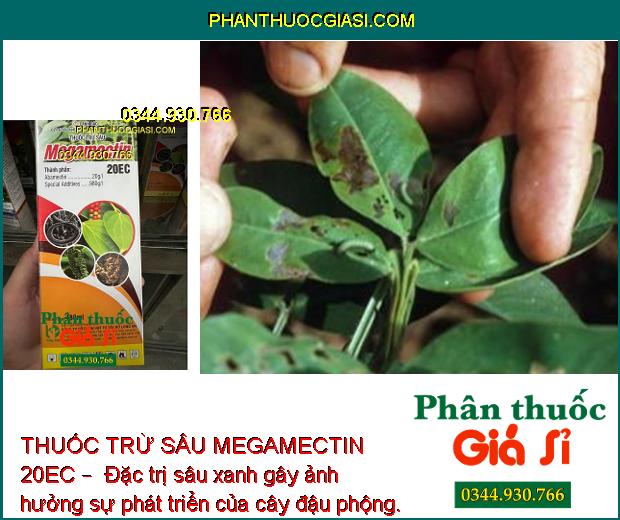 THUỐC TRỪ SÂU MEGAMECTIN 20EC –  Đặc Trị Sâu Cuốn Lá - Sâu Đục Quả - Bọ Trĩ - Nhện Đỏ