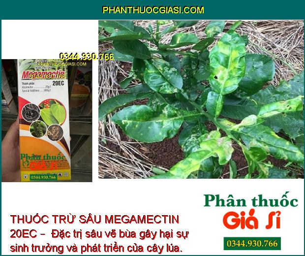 THUỐC TRỪ SÂU MEGAMECTIN 20EC –  Đặc Trị Sâu Cuốn Lá - Sâu Đục Quả - Bọ Trĩ - Nhện Đỏ