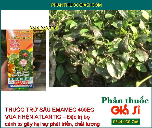 THUỐC TRỪ SÂU EMAMEC 400EC VUA NHỆN ATLANTIC – Đặc Trị Nhện - Sâu - Rầy Rệp Và Côn Trùng Gây Hại