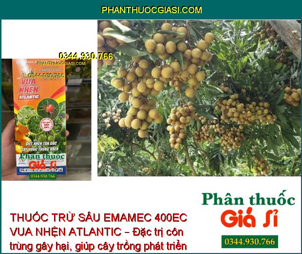 THUỐC TRỪ SÂU EMAMEC 400EC VUA NHỆN ATLANTIC – Đặc Trị Nhện - Sâu - Rầy Rệp Và Côn Trùng Gây Hại