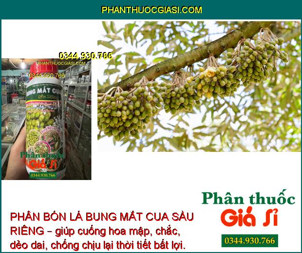 PHÂN BÓN LÁ BUNG MẮT CUA SẦU RIÊNG – KÉO BÔNG CỰC MẠNH – TĂNG TỶ LỆ ĐẬU TRÁI