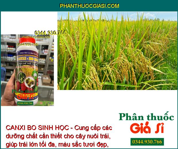 CANXI BO SINH HỌC - Tăng Tỷ Lệ Đậu Trái - Chống Thối Trái - Dùng Cho Mọi Loại Cây Trồng