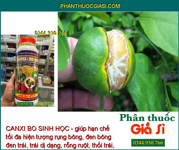 CANXI BO SINH HỌC - Tăng Tỷ Lệ Đậu Trái - Chống Thối Trái - Dùng Cho Mọi Loại Cây Trồng