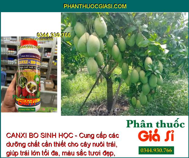 CANXI BO SINH HỌC - Tăng Tỷ Lệ Đậu Trái - Chống Thối Trái - Dùng Cho Mọi Loại Cây Trồng