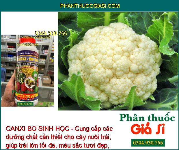 CANXI BO SINH HỌC - Tăng Tỷ Lệ Đậu Trái - Chống Thối Trái - Dùng Cho Mọi Loại Cây Trồng