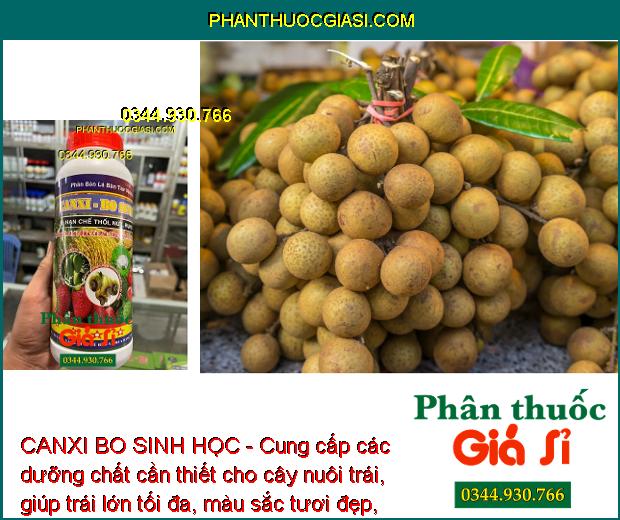 CANXI BO SINH HỌC - Tăng Tỷ Lệ Đậu Trái - Chống Thối Trái - Dùng Cho Mọi Loại Cây Trồng