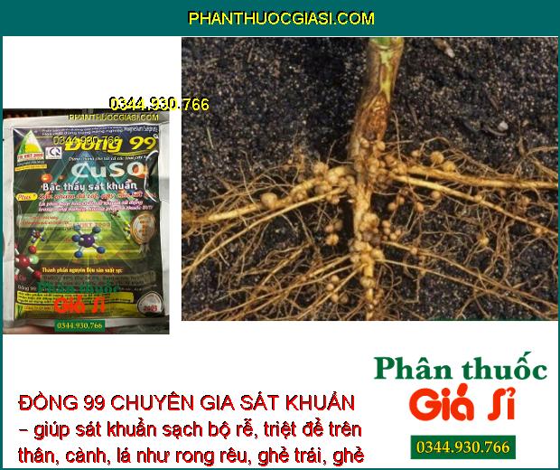 ĐỒNG 99 CHUYÊN GIA SÁT KHUẨN – Sát Khuẩn Cực Mạnh - Tăng Sức Đề Kháng Cho Cây Trồng.