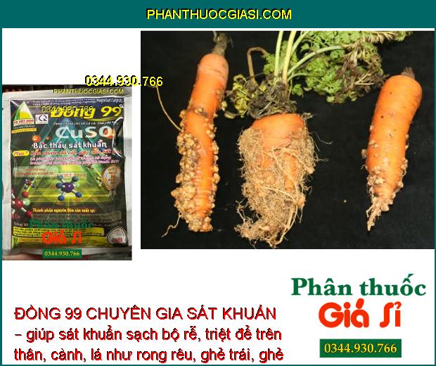 ĐỒNG 99 CHUYÊN GIA SÁT KHUẨN – Sát Khuẩn Cực Mạnh - Tăng Sức Đề Kháng Cho Cây Trồng.