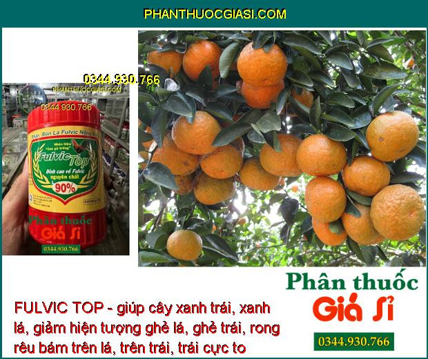 FULVIC TOP - giúp cây xanh trái, xanh lá, giảm hiện tượng ghẻ lá, ghẻ trái, rong rêu bám trên lá, trên trái, trái cực to