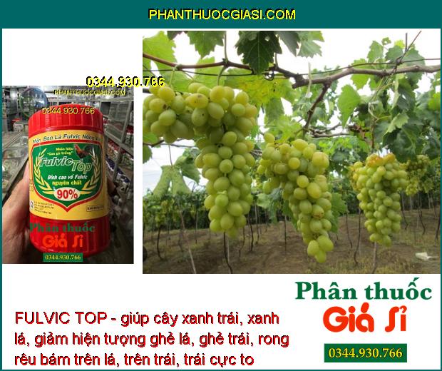 FULVIC TOP - giúp cây xanh trái, xanh lá, giảm hiện tượng ghẻ lá, ghẻ trái, rong rêu bám trên lá, trên trái, trái cực to