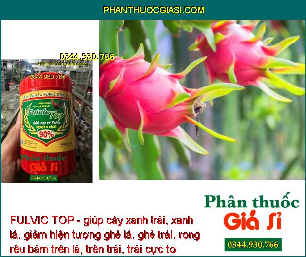 FULVIC TOP - giúp cây xanh trái, xanh lá, giảm hiện tượng ghẻ lá, ghẻ trái, rong rêu bám trên lá, trên trái, trái cực to