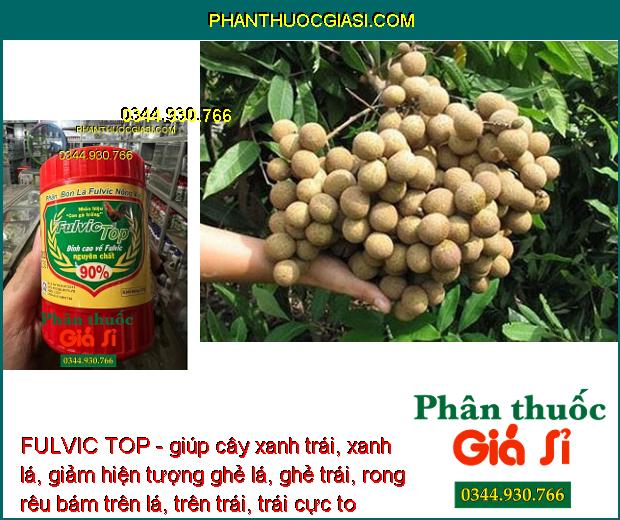 FULVIC TOP - giúp cây xanh trái, xanh lá, giảm hiện tượng ghẻ lá, ghẻ trái, rong rêu bám trên lá, trên trái, trái cực to